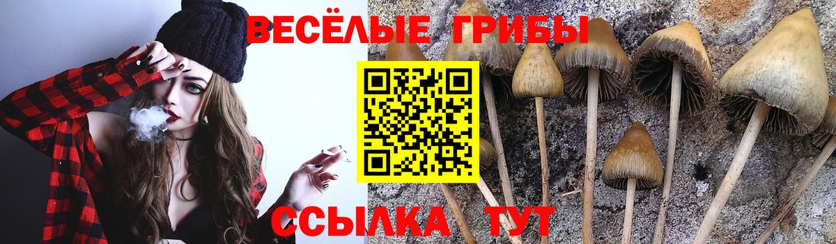 Салехард  Псилоцибиновые грибы ЛСД  как найти наркотики  Вход с VPN 